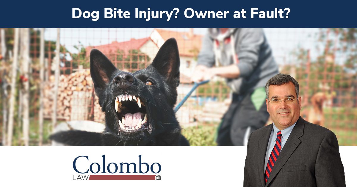 Morgantown Dog Bite Injury Lawyers | Animal Attack Injury Attorney
