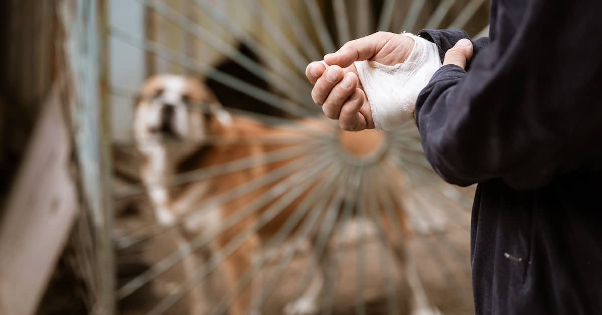 Man with hand injury due to dog bite | Colombo Law